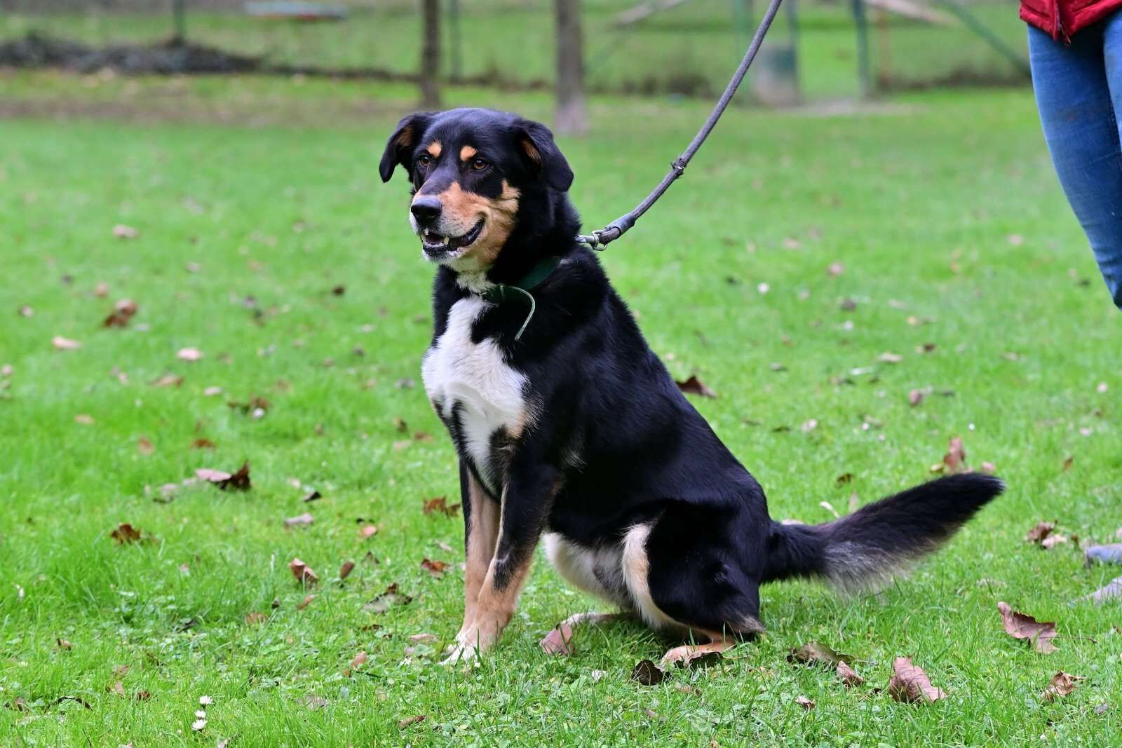 utulek 11 2025male--048